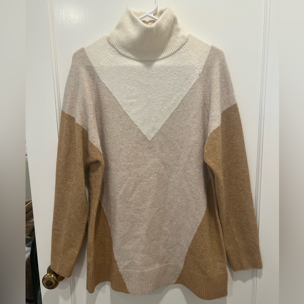 Express turtleneck sweater